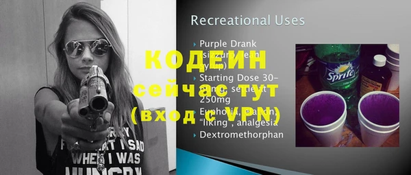 прущие грибы Лабытнанги