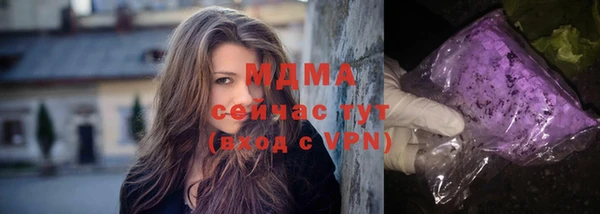 прущие грибы Лабытнанги