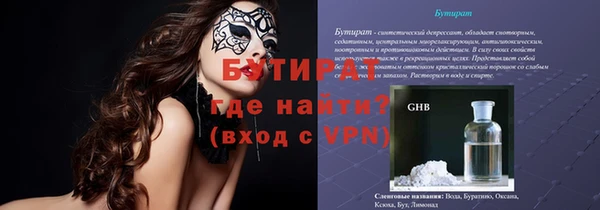 прущие грибы Лабытнанги
