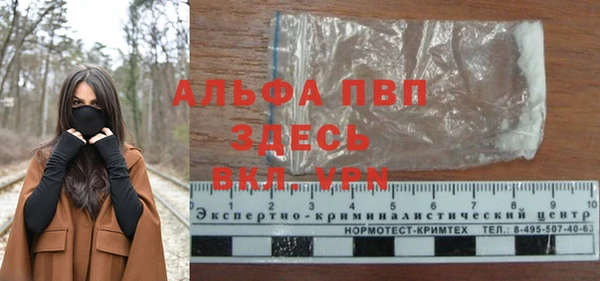 прущие грибы Лабытнанги