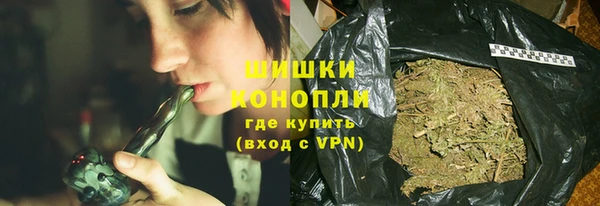 прущие грибы Лабытнанги