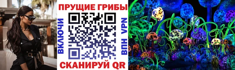 купить закладку  Петрозаводск  Галлюциногенные грибы мицелий 