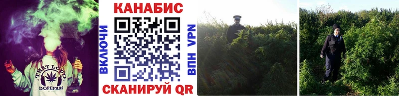 купить   Петрозаводск  Канабис тримм 